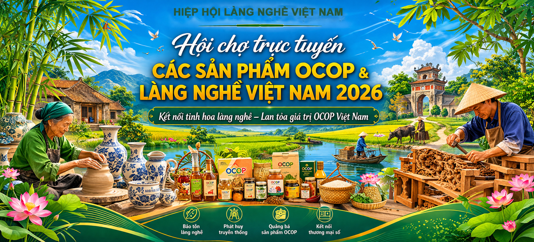 HHLNVN01