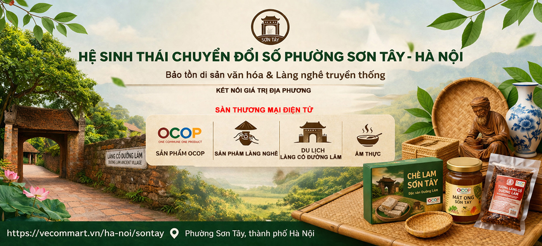 Sơn Tây 01