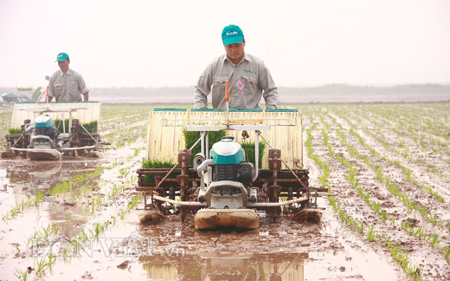 Xây dựng nông thôn mới huyện Phú Xuyên