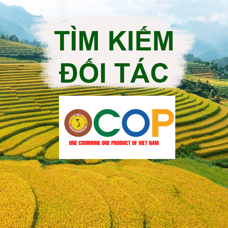 Kênh Tiktok Trang Quê Official cần tìm sản phẩm OCOP cho livestream